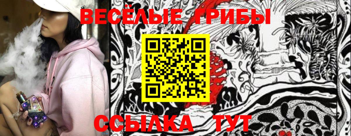 Боровичи  Галлюциногенные грибы Cubensis  Вход с VPN  Галлюциногенные грибы мухоморы 