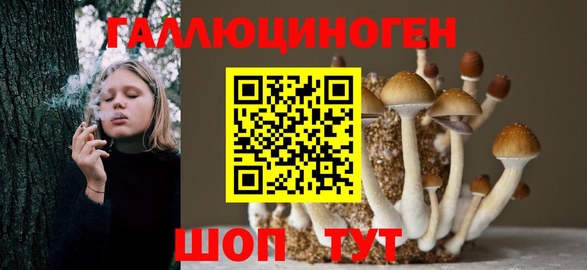 Псилоцибиновые грибы MAGIC MUSHROOMS Боровичи